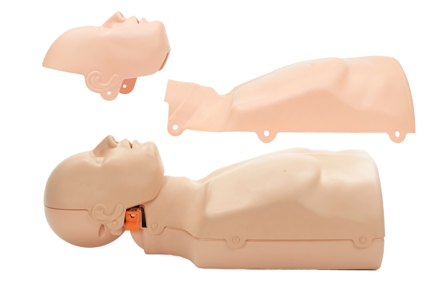 2-in-1 Reanimations-Trainingpuppe, männlich