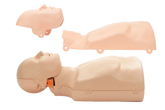 2-in-1 Reanimations-Trainingpuppe, männlich