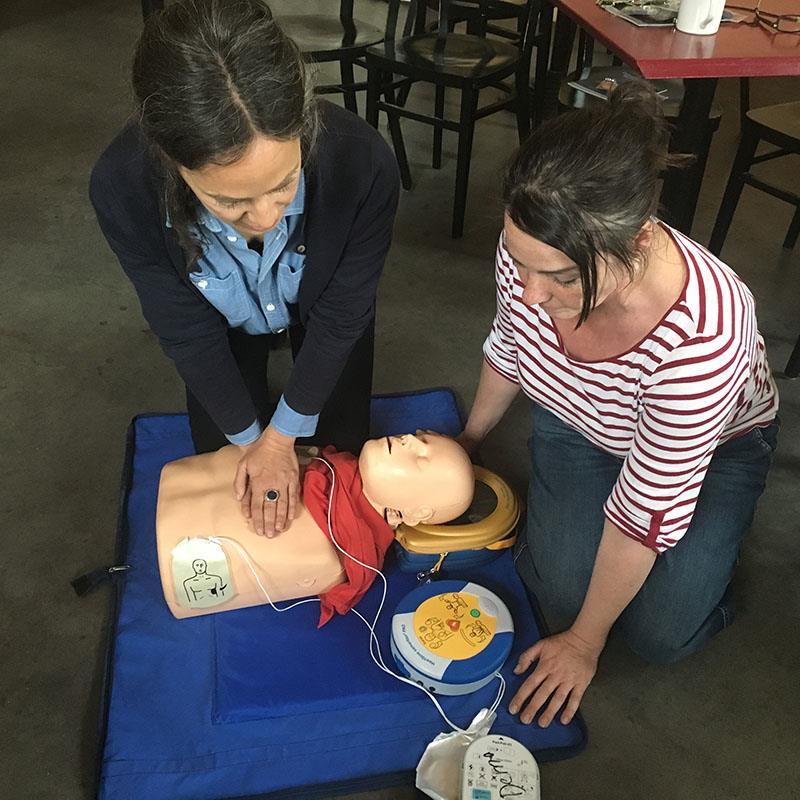 Defibrillator AED Vor-Ort-Schulung nach MPBetreibV – MPEUAnpV inkl. HLW-D, An- & Abfahrt